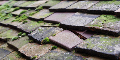 Twynmynydd roof repair costs
